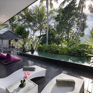 Deluxe One-Bedroom Villa